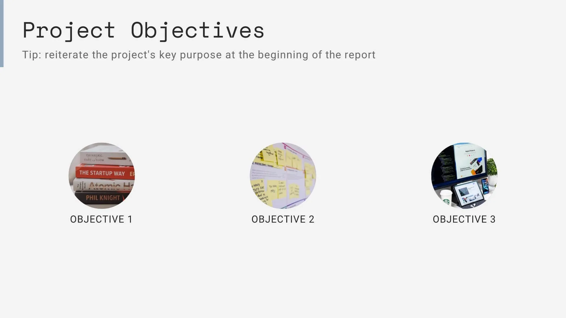 Project objectives